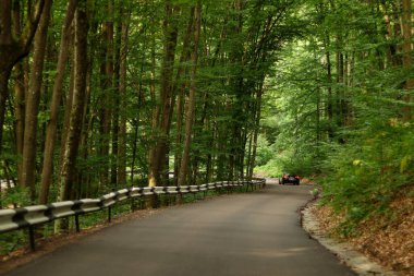 Solunda yol bariyeri olan yeşil bir ormanda yol, yatay fotoğraf, fotokopi alanı, arka plan