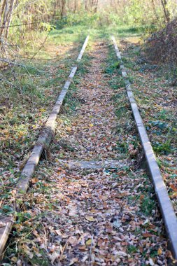 Ormanda dökülen yapraklarla çevrili terk edilmiş eski tren yolu. Yüksek kalite fotoğraf