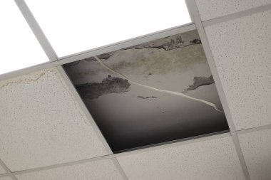 Su. Küf. Kahverengi leke. Ofis binası. Sızıntıdan kaynaklanan pis bir tavan ve küf hasarı. Yüksek kalite fotoğraf