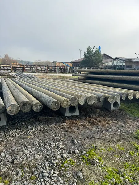 Açık hava deposundaki ahşap elektrik direkleri elektrik hatları, eskrim ya da kırsal sanayi tesislerindeki inşaat projeleri için hazırlandı. Yüksek kalite fotoğraf