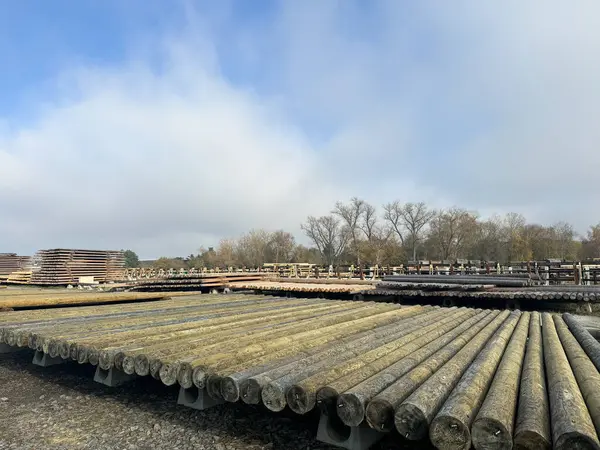 Büyük ahşap elektrik direkleri bir sanayi bölgesinde, parçalı bulutlu bir gökyüzünün altında kırsal altyapı projelerine taşınmaya ya da yerleştirilmeye hazır. Yüksek kalite fotoğraf