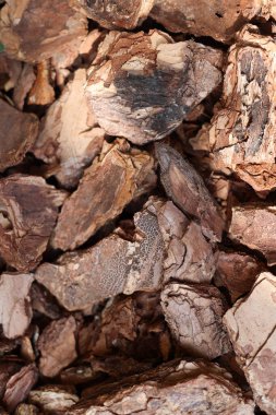  Bahçecilik ve peyzaj için kullanılan doğal kahverengi ahşap kabuğunun yakın çekim dokusu. Zemin örtüsü için organik malzeme, nem tutma ve dış mekanlarda dekoratif amaçlar için.. 