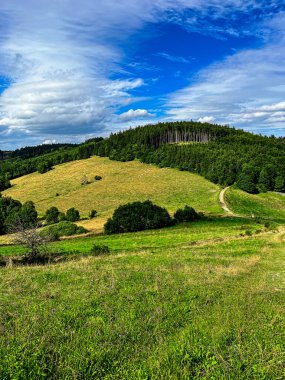 Ağaçları ve mavi gökyüzü olan güzel bir manzara.