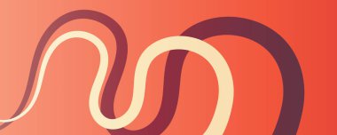 Soyut gradyan dalga kalın çizgi ağ arkaplanı. Soyut gradyan çok renkli dalgalı çizgili arka plan. Broşür, kapak, poster, afiş, web başlığı için rengarenk eğri çizgileri şekil arkaplanı