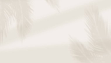 Soyut minimalist yaprak gölgesi stüdyo arka planı. Doğal ağaç gölge eğimli duvar arkaplanı bırakır. Ürün sunumu için gradyan stüdyo odası ve fotokopi alanı ile bulanık bitki arkaplanı