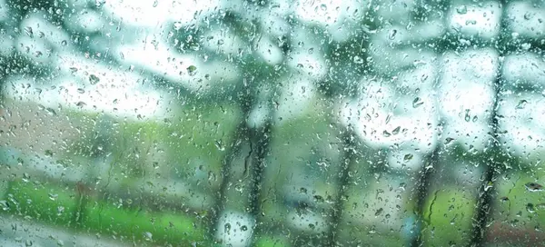 Natural background, Rain boots on the windshield, rainy season, it is raining. With green nature background. Natural rainforest, Beautiful heavy summer rain. Forest scene with green trees and rain.