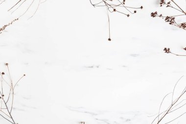Noel kompozisyonu. Firavun ağacı dalları, gri arka planda kırmızı süslemeler, çiçek kompozisyonu. Mermer arka planda beyaz ve mor çiçekler, okaliptüs yaprakları, kış, üst manzara. Noel hediyesi. 