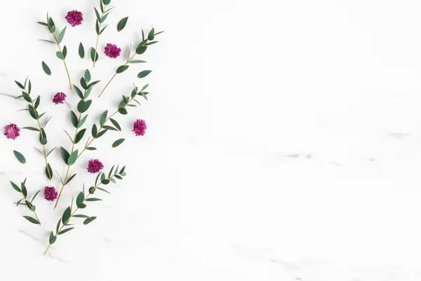 Karácsonyi Kompozíció Fenyőfa Ágak Vörös Dekorációk Szürke Alapon Virágok Összetétele — Stock Fotó