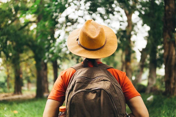Ormanda yürüyen yürüyüşçünün arka görüntüsü.
