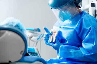 Bir diş modelini ve içini gösteren dişçi, kavram ve eğitim taşır.