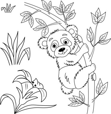 Boyama kitabı için daldaki komik bir pandaya tırman. Hayvan vektör illüstrasyonu