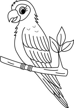 Boyama Sayfası için güzel bir papağan. Vektör İllüstrasyonu Tropik Kuş Papağanı