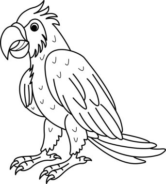 Boyama Sayfası için Renkli Papağan çizgi filmi. Vektör İllüstrasyonu Tropik Kuş Papağanı