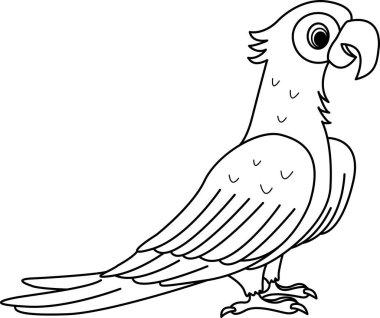 Boyama sayfası için komik bir papağan. Vektör İllüstrasyonu Tropik Kuş Papağanı