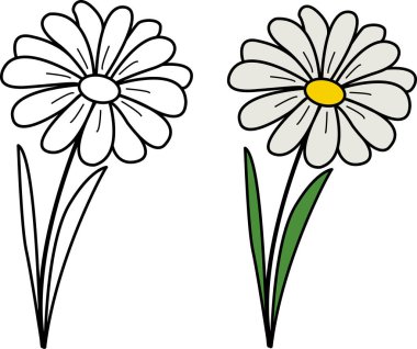 Boyama kitabı için bahar papatyası çiçeği. Papatya çiçeği vektör illüstrasyonu