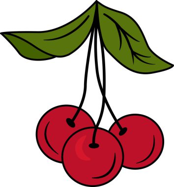 Bir sapında üç tane olgun kırmızı kiraz. Sulu kirazların vektör illüstrasyonu