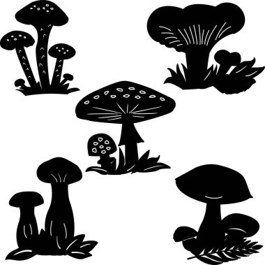 Bir dizi siyah vektör mantar ikonu. Orman mantarlarının çizgi film çizimleri. Porcini, kral trompet, ballı agarik, sineklik, mantarlı chanterelle