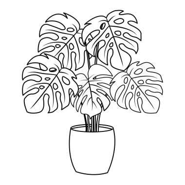 Renklendirmek için saksıdaki canavar. Ofis veya Ev İçin Tropikal Bitki Vektörü İllüstrasyonu