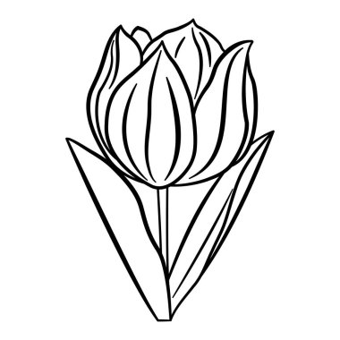Renk Sayfası için Lale Çiçeği. Bahar Çiçeği. Yapraklı Çiçek Lalesinin Vektör İllüstrasyonu