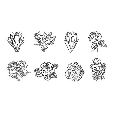 Renkler için çiçek seti. Crocus, Rose, Buttercup, Narcissus, Lale, Papatya ve Geranium 'un Vektör İllüstrasyonu