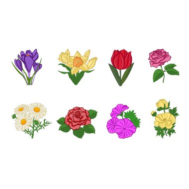 Çiçek seti. Crocus, Rose, Buttercup, Narcissus, Lale, Papatya ve Geranium 'un Vektör İllüstrasyonu