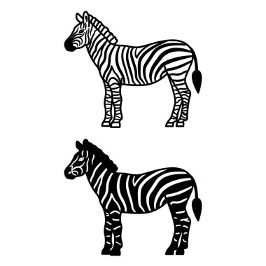 Zebra Simgeleri. Siyah ve Beyaz Vektör İllüzyonu. Memeli, Çizgili At. Boyama kitabı tasarımı için. Hayvan Konsepti