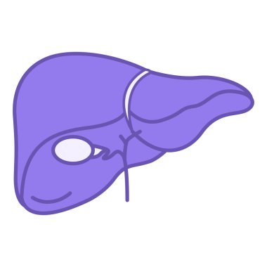 Renkli Karaciğer Simgesi. Vektör İllüstrasyonu. En Büyük İç İnsan Organı. Anatomiyi Kabul Et
