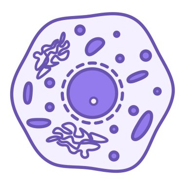 Renkli Hücre Simgesi. Vektör İllüstrasyonu. Yaşayan Organizmaların Yapısı Temel Birimi. Biyoloji, Tıp. Anatomiyi Kabul Et