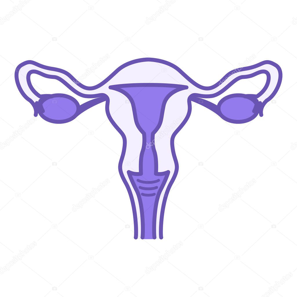 Colored Uterus Icon. Vector Illustration. The Internal Organ Of A Woman In Which The Embryo Develops. Concept Anatomy And Medicine