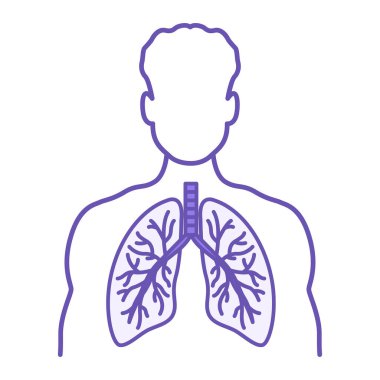 Renkli Ciğerler Simgesi. Vektör İllüstrasyonu. Bir insanın içinde akciğerler. Vücut parçası, iç organ. Anatomi, Tıp. Akciğer Hastalığı Konsepti