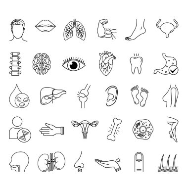 Anatomi Simgesi Ayarlandı. Vektör Resimleri: Kafa, Göz, Burun, Ağız, Kulak, Kol, Bacak, Omurga, Ciğerler, Böbrekler, Mide, Karaciğer, Saç, Beyin, Kalp, DNA ve Daha Fazla