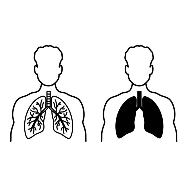 Легкие иконы. Черно-белые векторные иллюстрации. Легкие внутри человека. Часть тела, внутренний орган. Анатомия, медицина. Концепция болезни легких