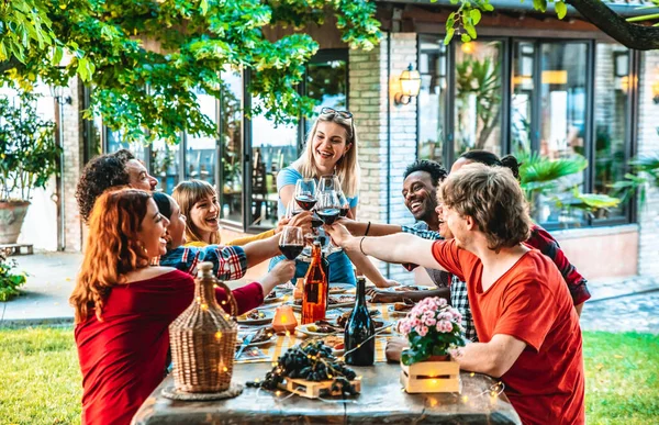Multiracial People Toasting Red Wine Glasses Barbecue Backyard Home Party — Stock Photo, Image