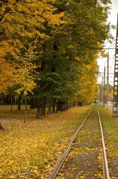 Parktaki demiryolu. Ağaçlı sonbahar manzarası, şehirde sonbahar..