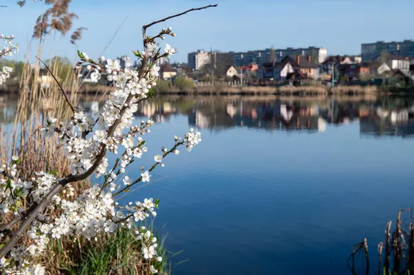Parkın güzel manzarası