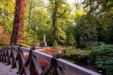 Parktaki tahta köprü.