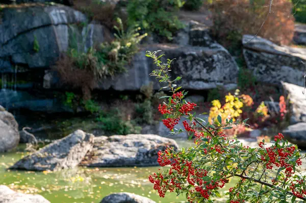 Parkta kırmızı çiçekli küçük bir şelale.
