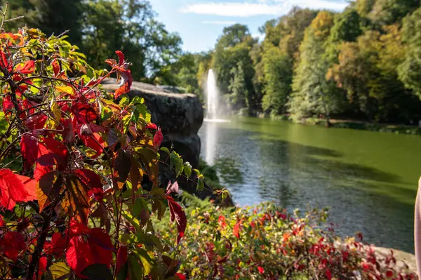 Parkta sonbahar. Sofiyivka Parkı