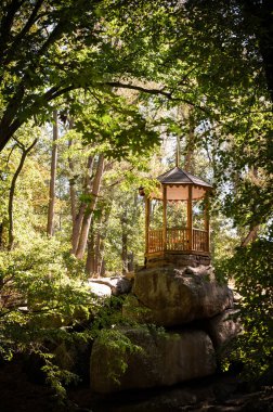 Eski bir Japon bahçesinin dikey görüntüsü.