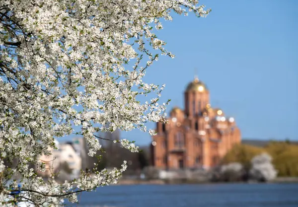 Kilise, çiçek açan kiraz ağacının arka planına odaklanamıyor.