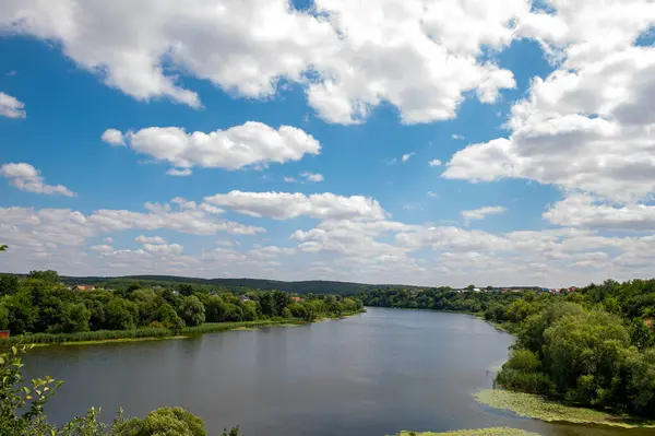 Nehir ve ağaçlarla dolu güzel bir yaz manzarası.