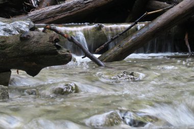 Slovensky raj - Sucha Bela