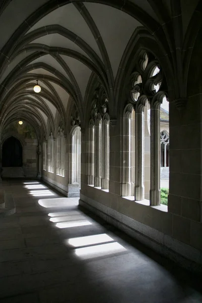Light and shadow dance through the gothic arches of a serene Swiss cloister, evoking a sense of historical depth and architectural beauty.