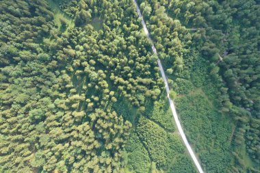 A bird's-eye view showcases a lush green forest bisected by a winding road in Austria, inviting adventure and exploration in the heart of nature.