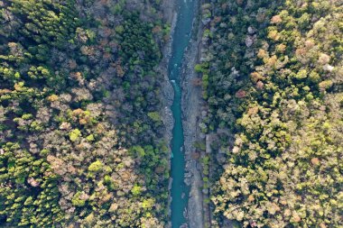 Aerial capture of a dramatic river gorge slicing through a vibrant forest in Japan, displaying the country's diverse and rugged landscape.