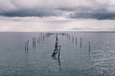 This atmospheric image captures the mysterious waters of Denmark leading to a vanishing horizon, bordered by ancient wooden stakes, evoking a sense of history and the vastness of the sea.