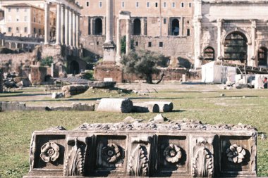 In the foreground, a beautifully carved stone relic rests before the sprawling ruins of the Roman Forum, a narrative in stone of Rome's glorious past that still whispers stories of ancient times to the present-day observer.