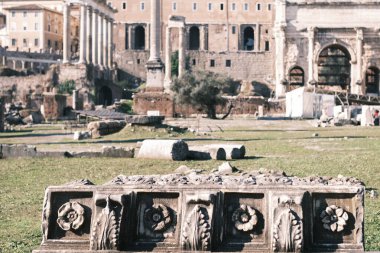 In the foreground, a beautifully carved stone relic rests before the sprawling ruins of the Roman Forum, a narrative in stone of Rome's glorious past that still whispers stories of ancient times to the present-day observer. clipart