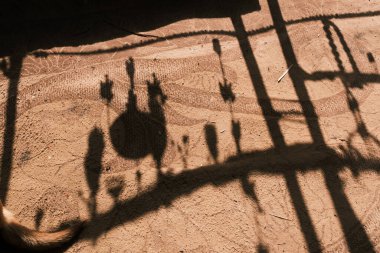 Inside a Bedouin tent, the dramatic play of shadows creates a captivating silhouette against the woven fabrics, offering a glimpse into the simplicity and beauty of life in the Jordanian desert.