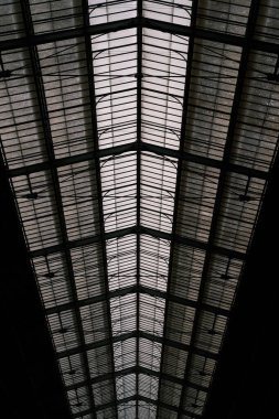 This captivating image showcases the intricate geometric roof design of a Parisian train station, with the soft light creating a mesmerizing pattern of shadows. Perfect for architectural features.